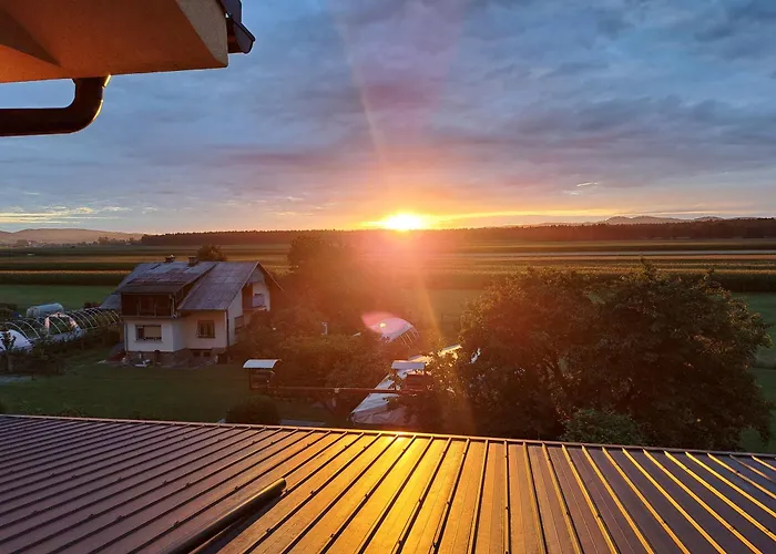 Zivko Πανσιόν Dobrovce