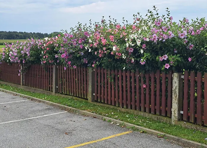 Zivko Πανσιόν