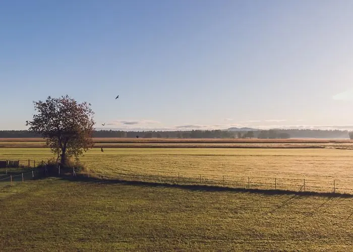 Zivko Πανσιόν 3*