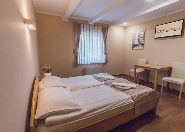 Zivko Πανσιόν Dobrovce